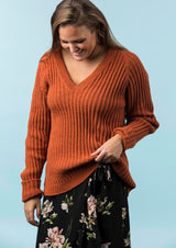 Klassischer Pullover mit V-Ausschnitt