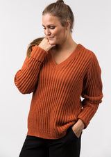 Klassischer Pullover mit V-Ausschnitt