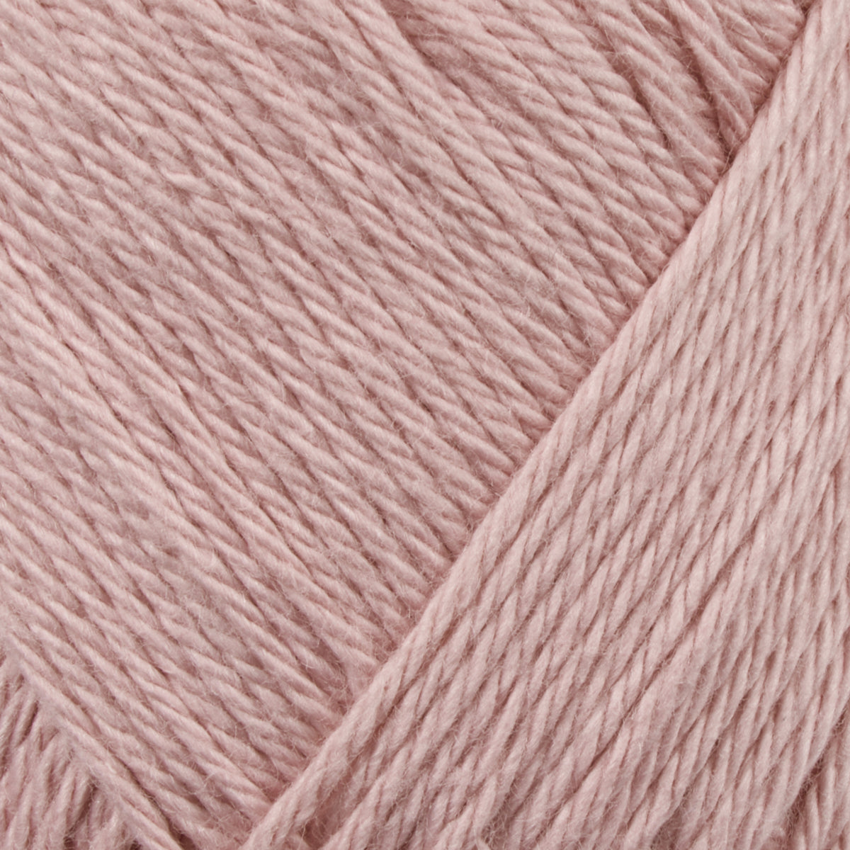 Cotton Junior 8/4