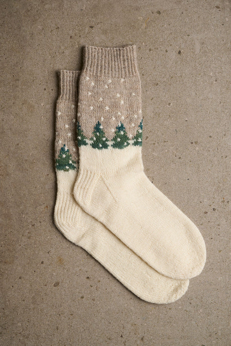 FRS7 Winterzauber