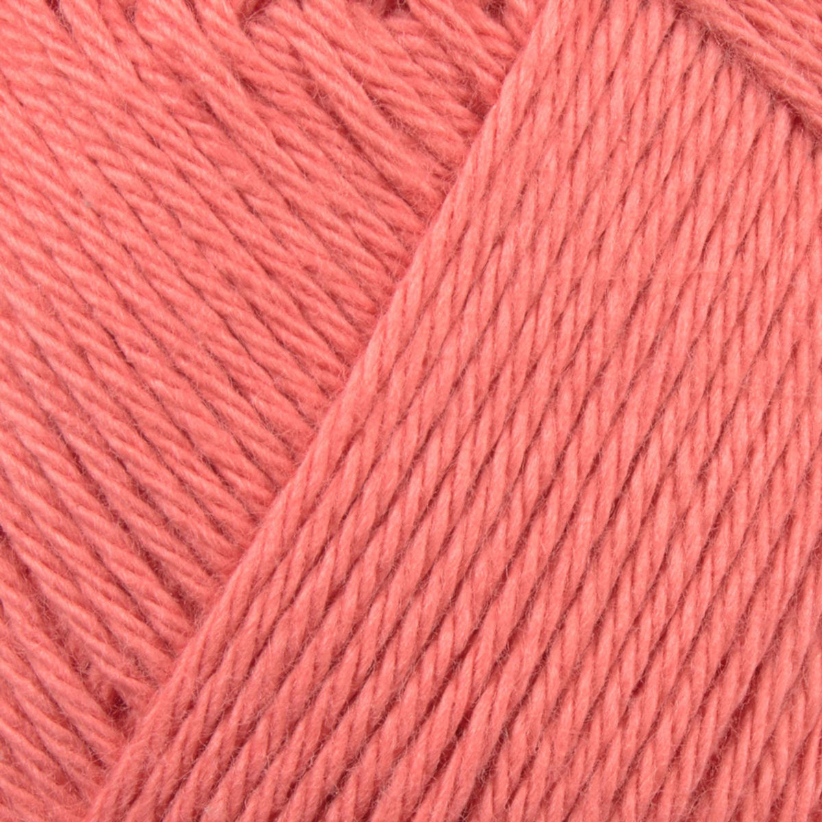 Cotton Junior 8/4